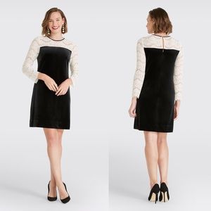 Black Velvet Lace Sleeve Dress